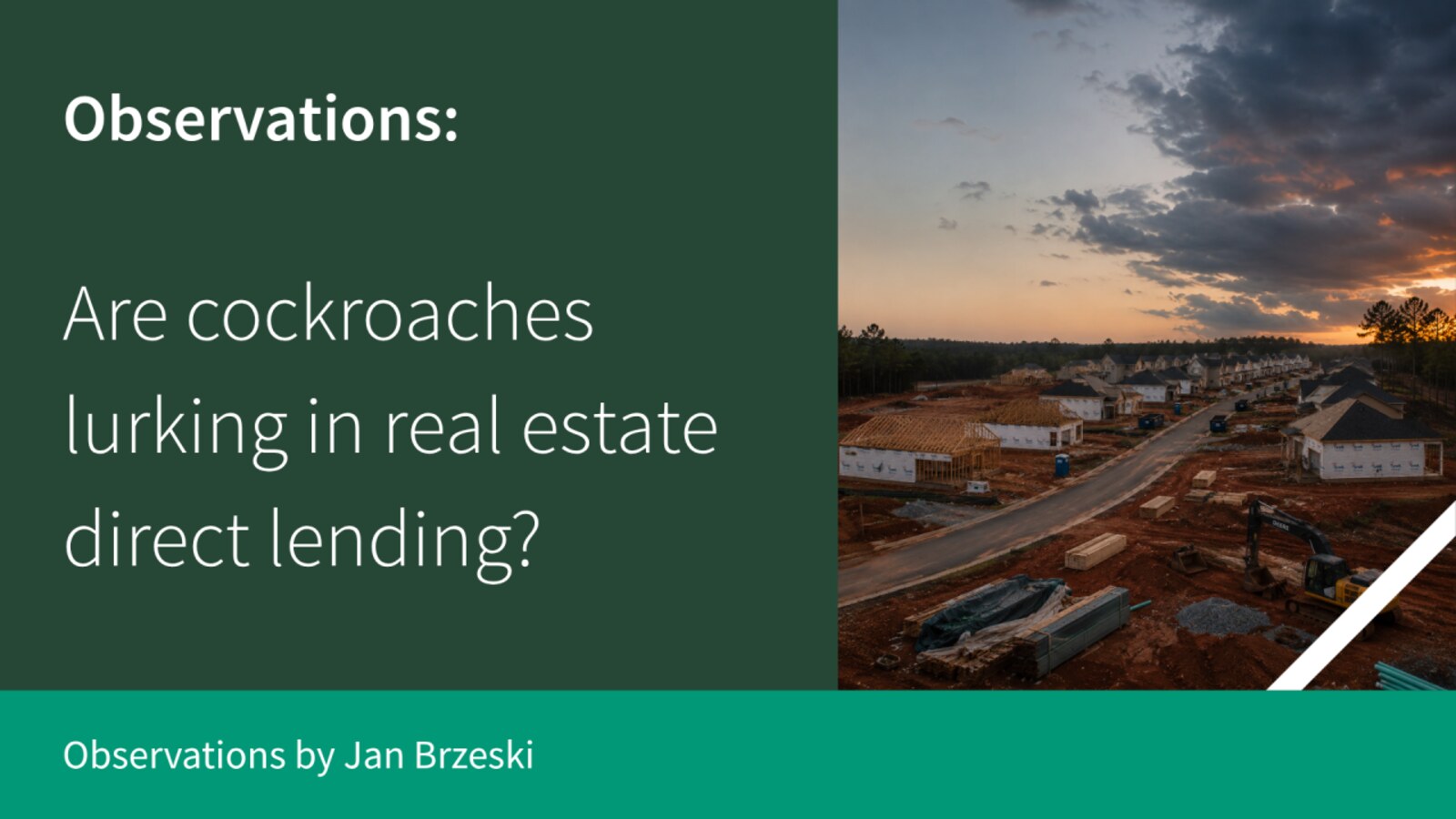 Observations: Are cockroaches lurking in real estate direct lending? — by Jan Brzeski